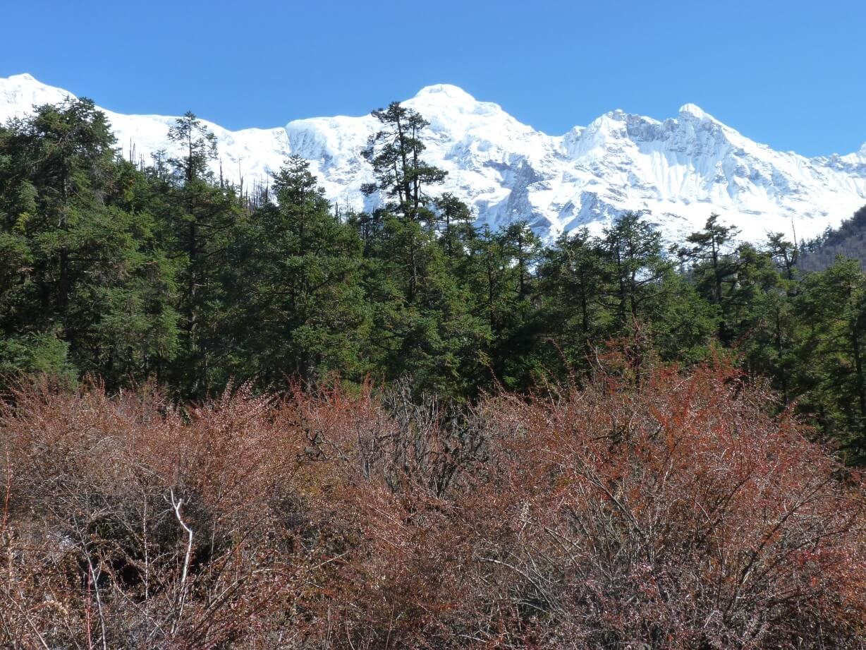View of Mount Manaslu